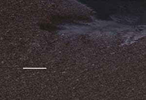 灰底白卡紙?jiān)谖木甙b中的應(yīng)用案例